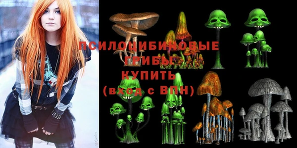 стафф Баксан
