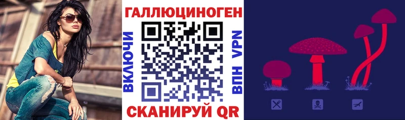 Купить  Борзя  Псилоцибиновые грибы прущие грибы 
