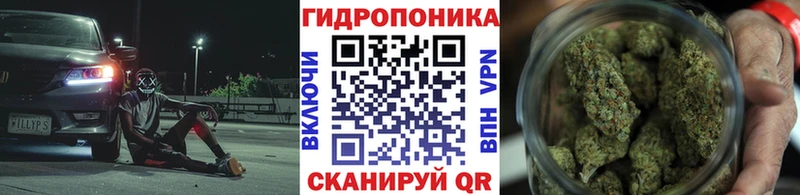 Конопля планчик  Купить  Борзя 